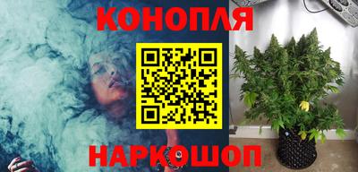 прущие крисы Будённовск