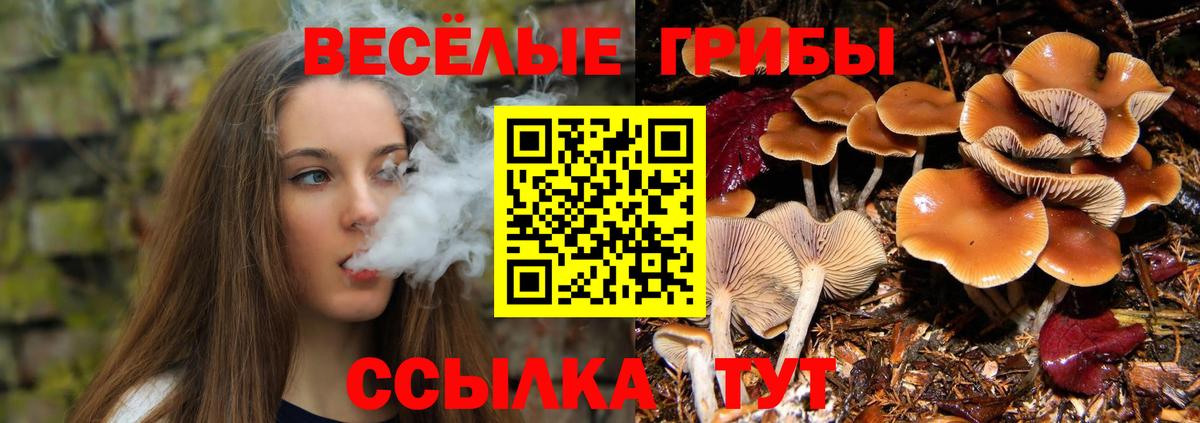 Галлюциногенные грибы Magic Shrooms  Псилоцибиновые грибы прущие грибы  Вход с VPN  Лысьва 